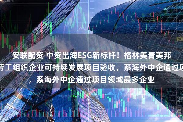 安联配资 中资出海ESG新标杆！格林美青美邦获得联合国国际劳工组织企业可持续发展项目验收，系海外中企通过项目领域最多企业