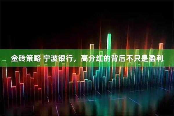 金砖策略 宁波银行，高分红的背后不只是盈利