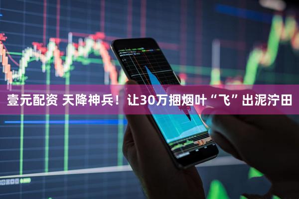 壹元配资 天降神兵！让30万捆烟叶“飞”出泥泞田