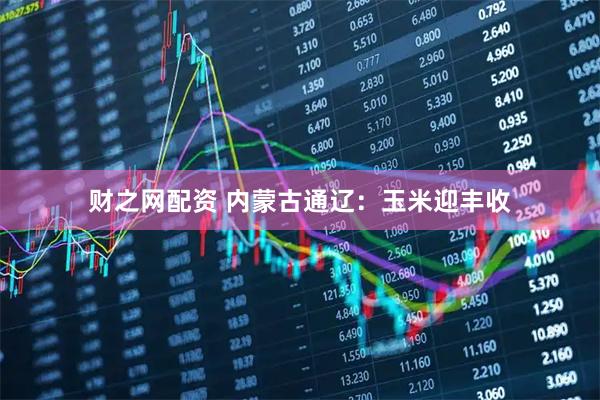 财之网配资 内蒙古通辽：玉米迎丰收